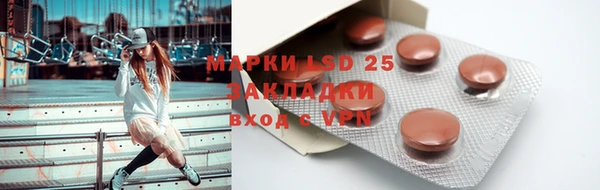 ПСИЛОЦИБИНОВЫЕ ГРИБЫ Алексеевка