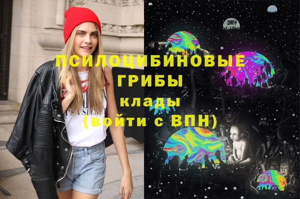 ПСИЛОЦИБИНОВЫЕ ГРИБЫ Алексеевка