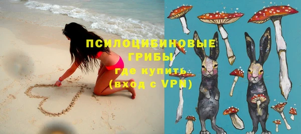 ПСИЛОЦИБИНОВЫЕ ГРИБЫ Алексеевка